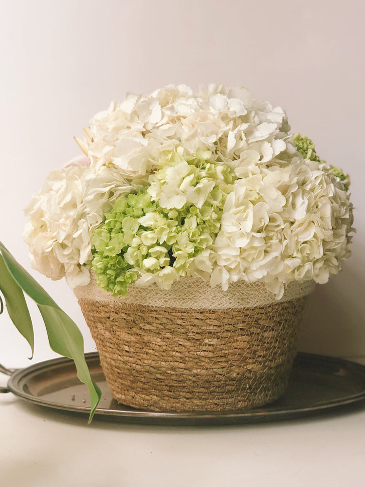 
                  
                    Savar Plant Bowl (Set of 3)
                  
                