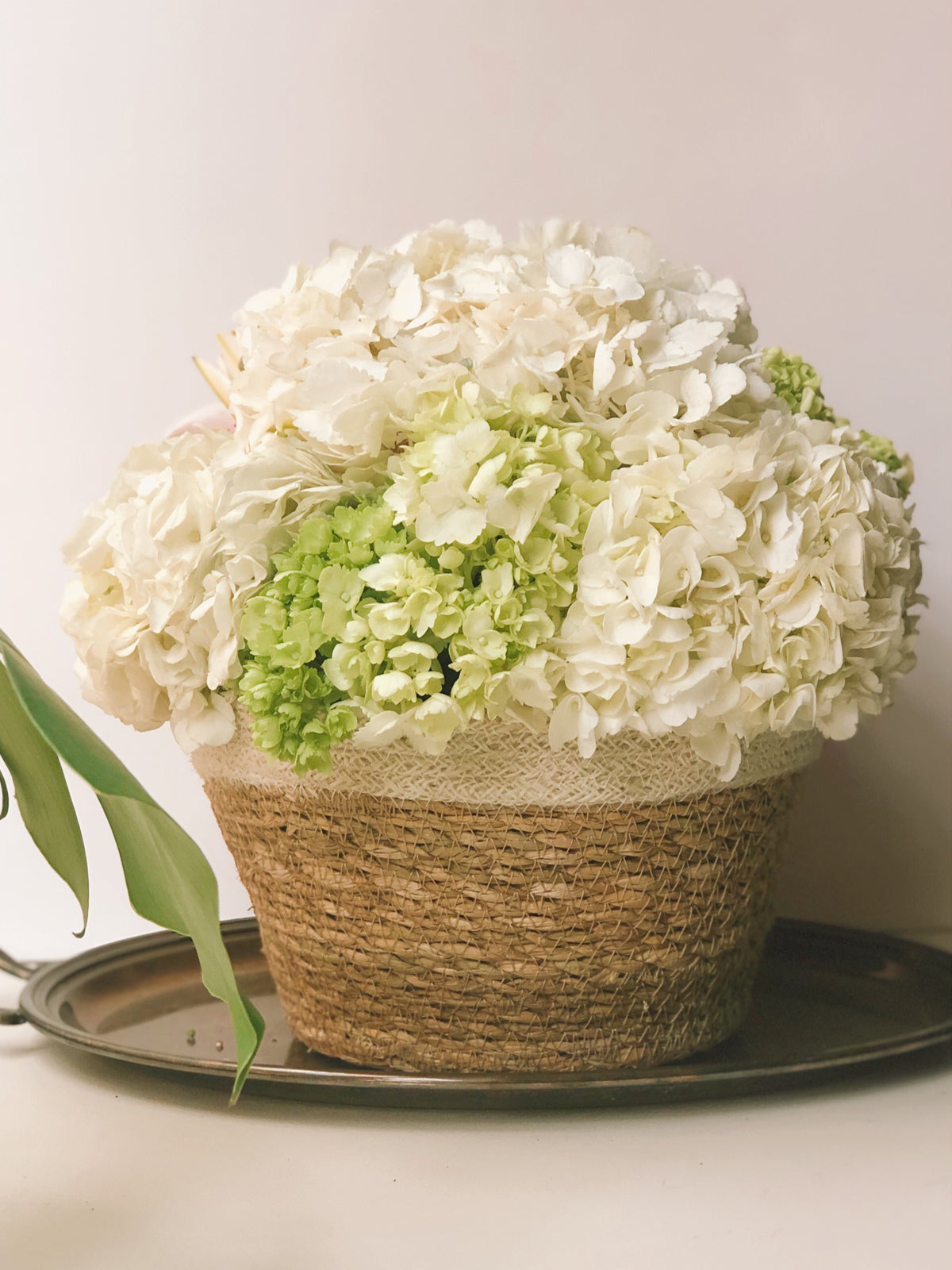 
                  
                    Savar Plant Bowl (Set of 3)
                  
                