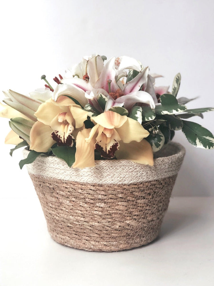 
                  
                    Savar Plant Bowl (Set of 3)
                  
                