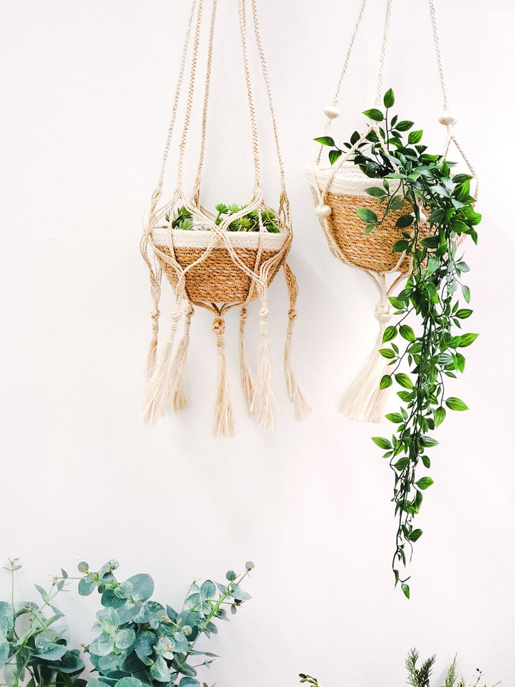
                  
                    Plant Hanger - Bitan
                  
                