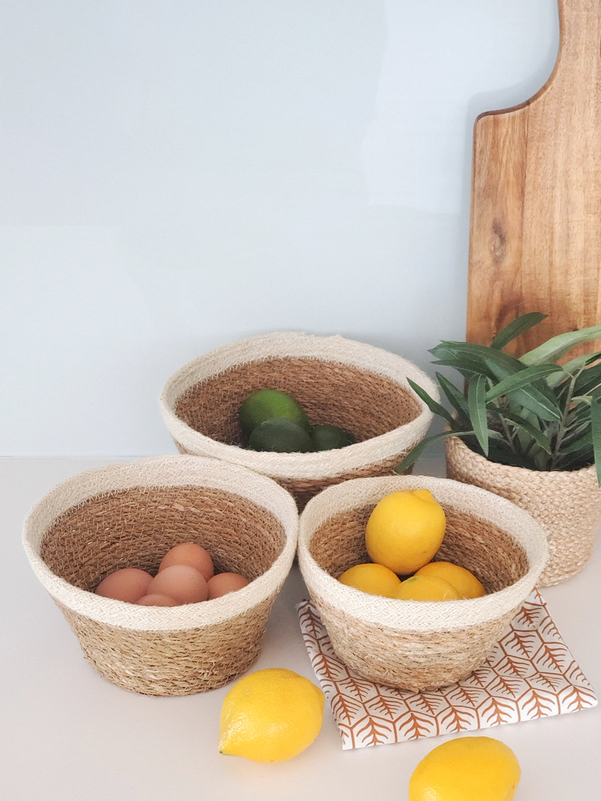 
                  
                    Savar Plant Bowl (Set of 3)
                  
                