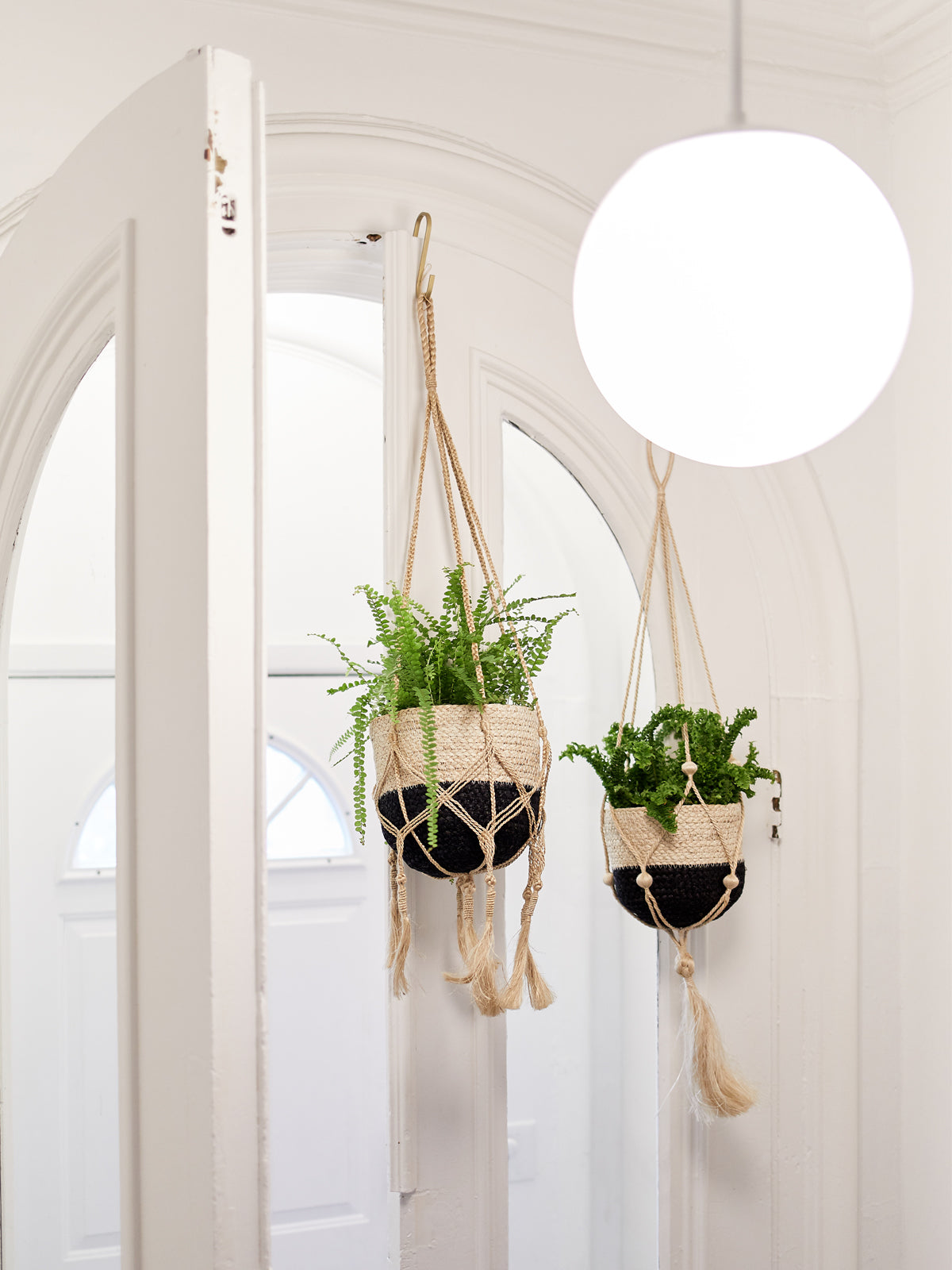 
                  
                    Plant Hanger - Bitan
                  
                