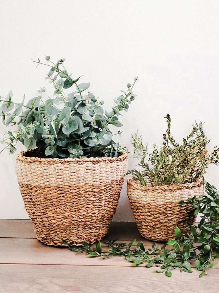 
                  
                    Savar Planter
                  
                