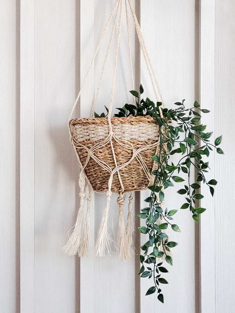 
                  
                    Plant Hanger - Bitan
                  
                