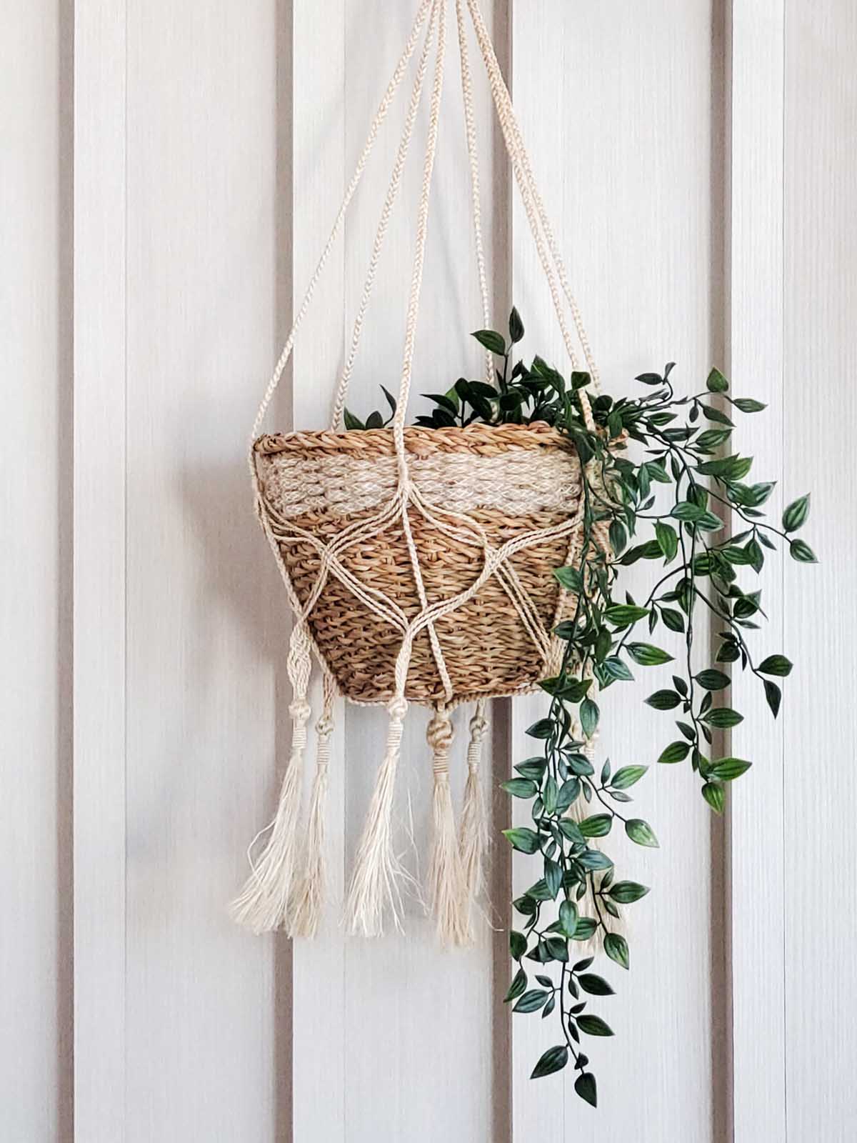 
                  
                    Plant Hanger - Bitan
                  
                