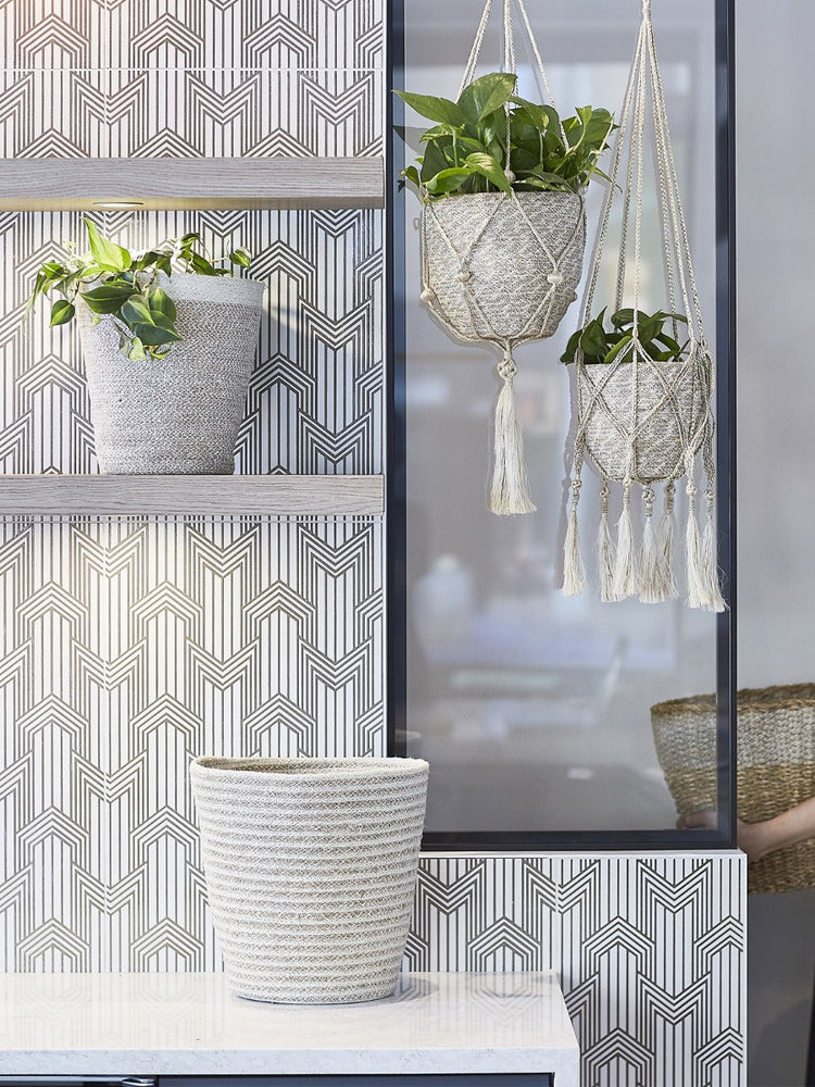 
                  
                    Plant Hanger - Bitan
                  
                