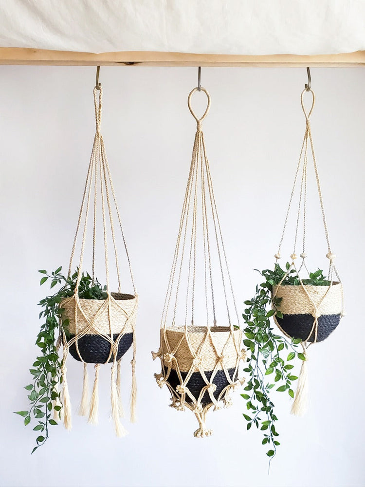 
                  
                    Plant Hanger - Bitan
                  
                